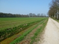 Boschweg