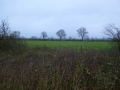 Oeffelter Meent