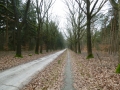 Helderse Duinen