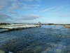 Maas