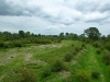 Ooijpolder
