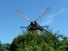 Anholter molen
