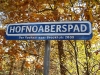 Carnavalsbord