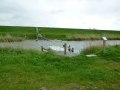 Trekpontje over het Eijerlands Kanaal