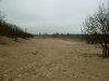 Loonse Duinen