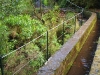 Madeira       