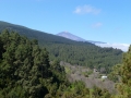 Tenerife - Los Organos