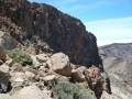 Tenerife: Guajara