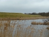 Fort in de Botshol 