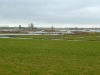 Bij Botshol