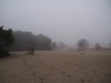 Lange Duinen 