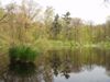Vennetje “De Waterster”