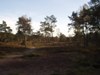 In de buurt van Maarn        