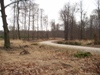 Kroondomein midden