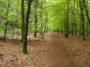 Maanschoten