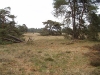 Caitwickerzand