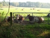Speulder- en Spielderbos