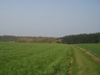 St. Leonard