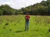 Wales     