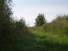 Gagelbos