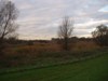 Biesbosch in de buurt van het Steurgat 