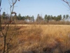 Vledderveld