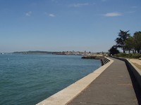P7230141