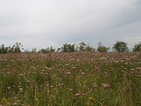 P8060204