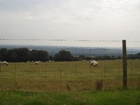 P8060205