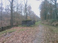 IMAG0037