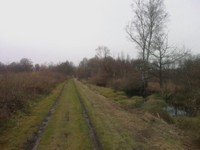 IMAG0038