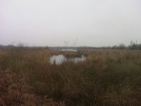 IMAG0039