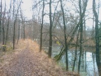 IMAG0040