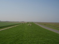 P4160088