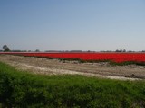 P4200100