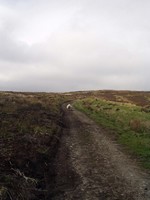 P1010020