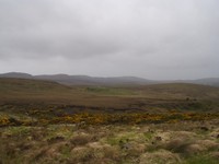 P5070080
