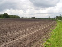 P5180001