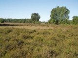 P5290042