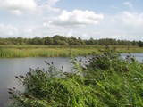 P8290106