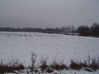 P1290066