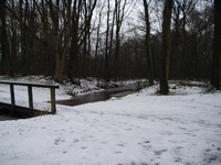 P1290068