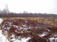 P1290069