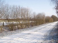 P1300073