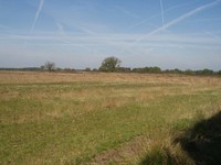 P5220037