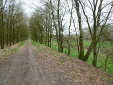 P1000592