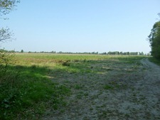 P1000621