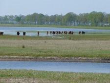 P1000622