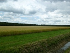 P1000728 P1000728