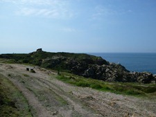 P1000773